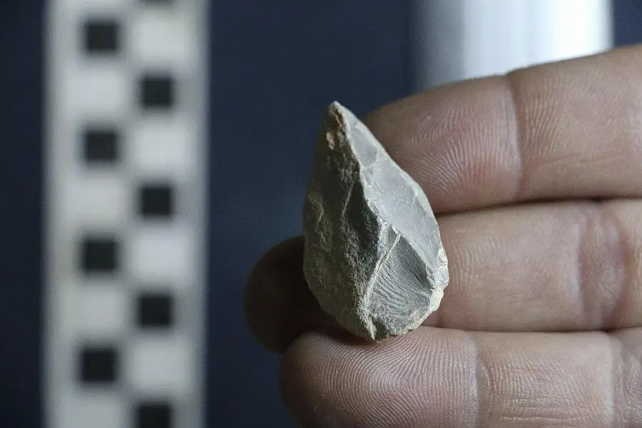 An item found in a cave in Zacatecas, Mexico (Ciprian Ardelean via AP)