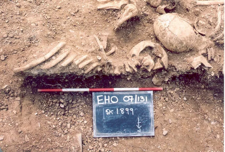 Massacred 10th century Vikings found in a mass grave at St John’s College, Oxford (Thames Valley Archaeological Services/PA)