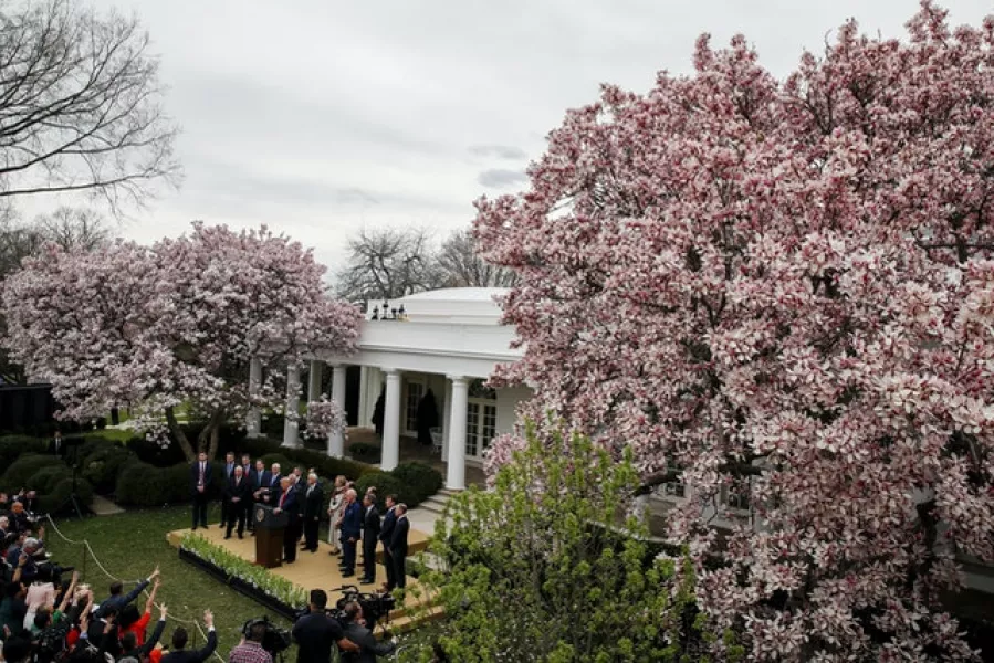 The Rose Garden at the White House (Alex Brandon/AP)