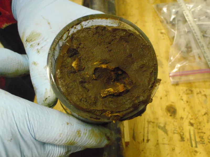 A core sample hat was collected during the South Pacific Gyre expedition (IODP JRSO)