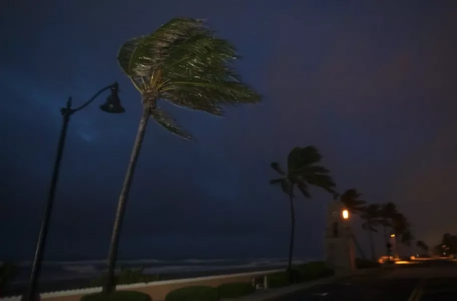 Palm trees blow in the wind from Tropical Storm Isaias before dawn at Palm Beach, Florida (Lannis Waters/The Palm Beach Post/AP)