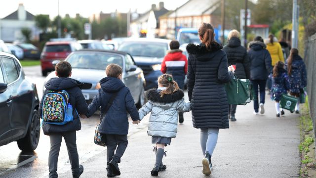 Nhs Test And Trace Needs Scaling Up To Reopen Schools Safely – Study