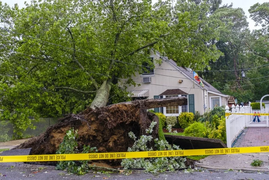 A tree toppled onto a home in West Hempstead, New York (Jeff Bachner/Newsday/AP)