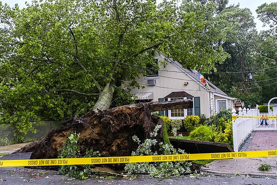 A tree toppled onto a home in West Hempstead, New York (Jeff Bachner/Newsday/AP)