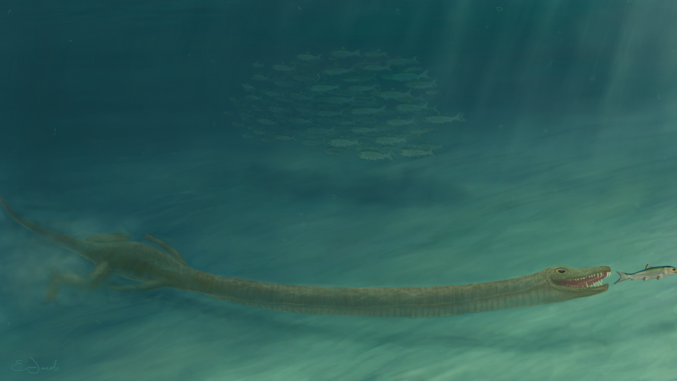 240-Million-Year-Old Reptile With Giraffe-Like Neck ‘Lived In Ocean’