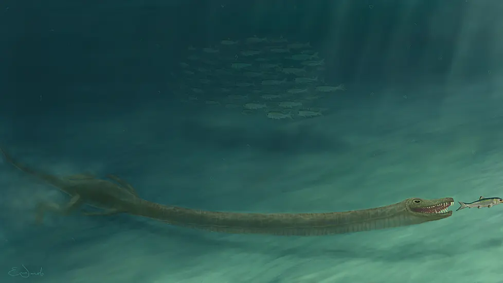 240-Million-Year-Old Reptile With Giraffe-Like Neck ‘Lived In Ocean’