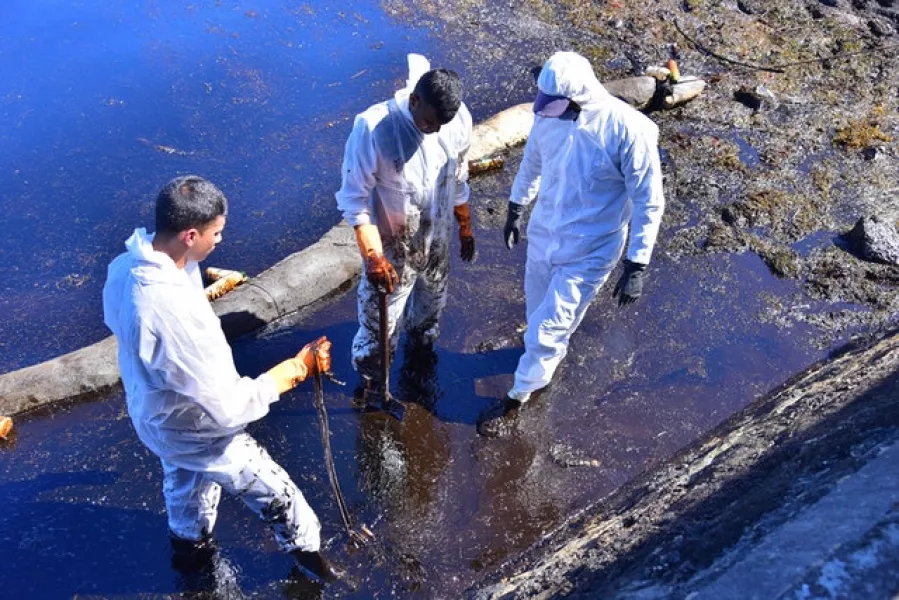 Volunteers clean up after the oil spill (Beekash Roopun/AP)