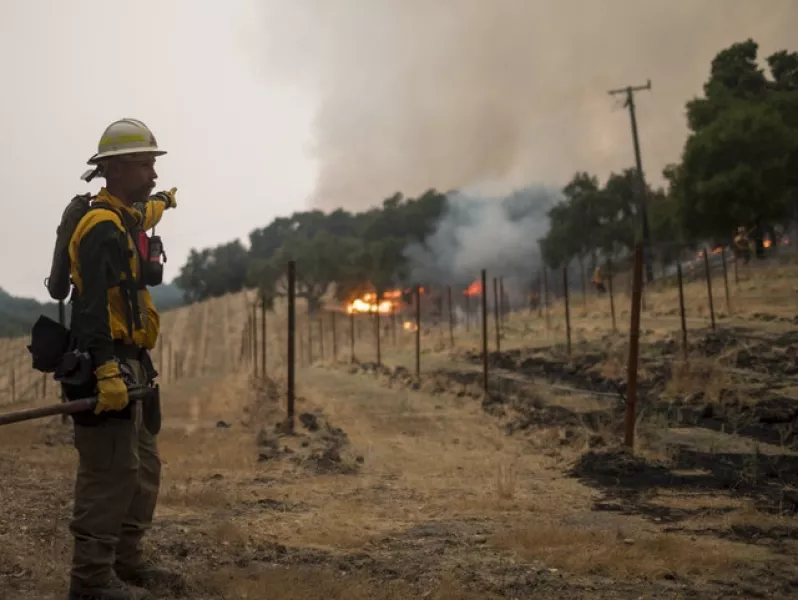 Trees near a vineyard burn in Carmel Valley (Nic Coury/AP)