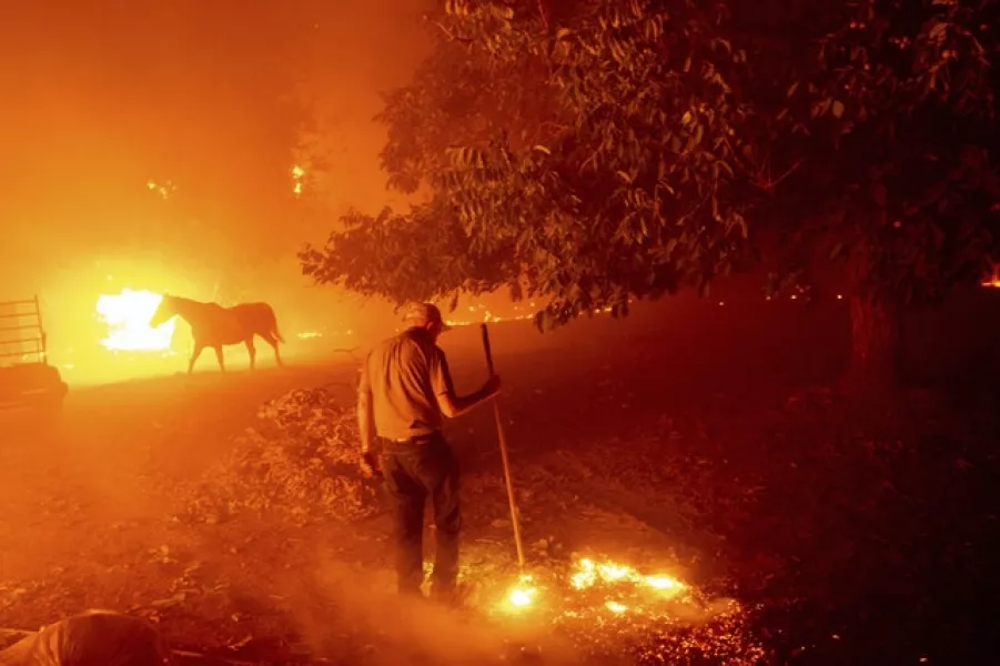 Bill Nichols, 84, works to save his home as fire tears through Vacaville (Noah Berger/AP)