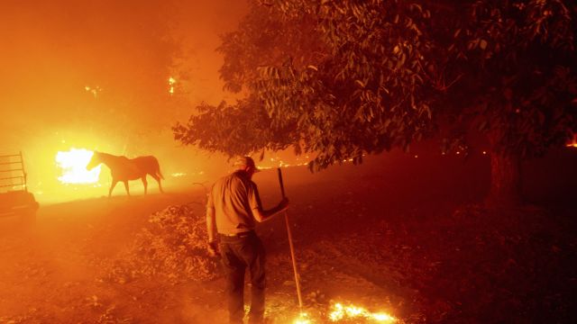 Residents Flee Homes As Wildfires Scorch Northern California