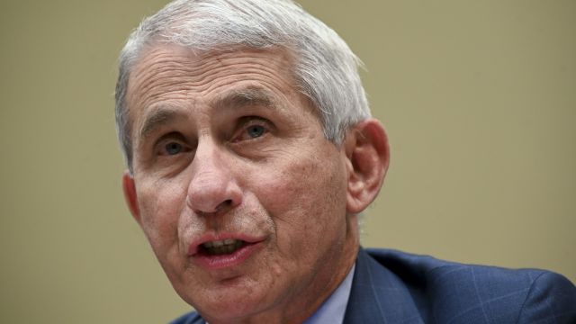 Dr Anthony Fauci Recovering After Surgery To Remove Vocal Cord Polyp
