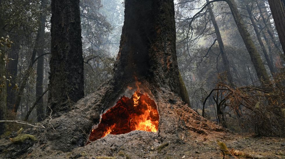 California Residents Told To Prepare To Be Away From Home For Days As Fires Rage