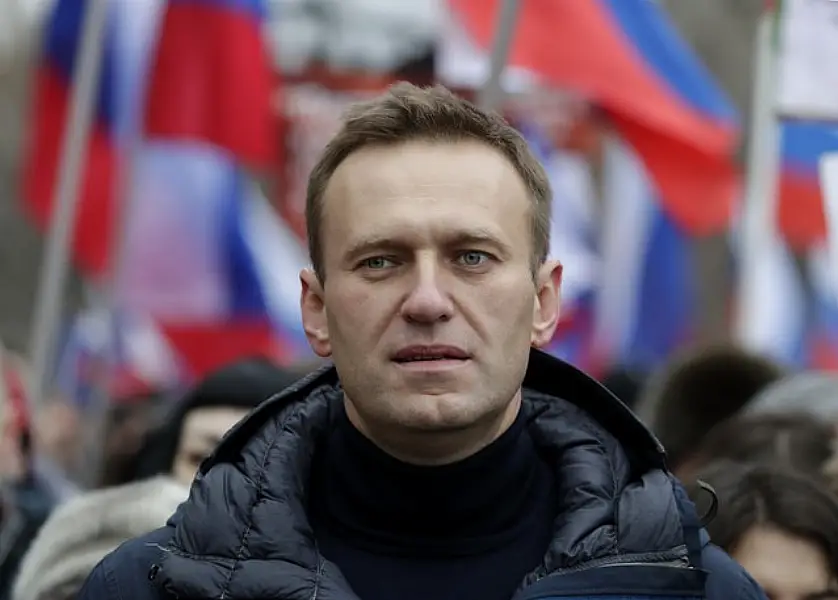 Alexei Navalny is being treated in Germany (AP/Pavel Golovkin, File)