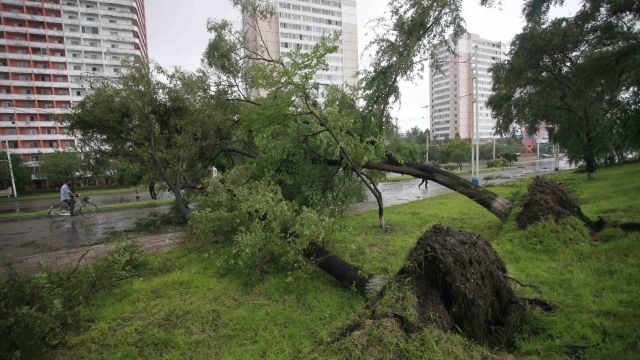 Roads Flooded And Buildings Damaged As 83Mph Typhoon Hits Korean Peninsula