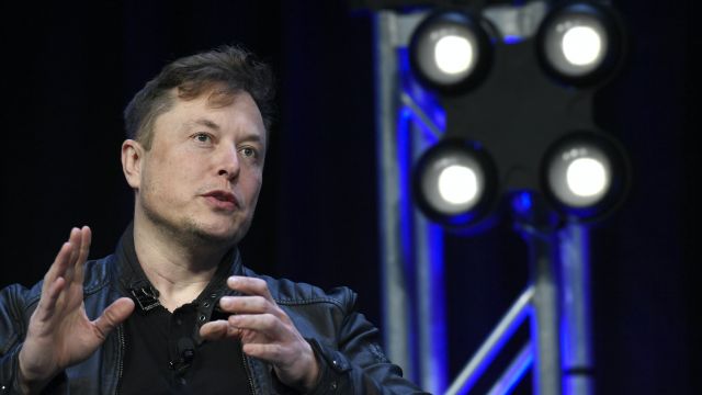 Elon Musk Unveils Brain-Reading Chip In Pigs