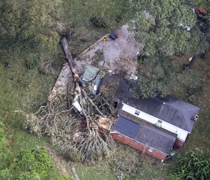 A fallen tree lies across part of a home in Leesville, Louisiana (AP)