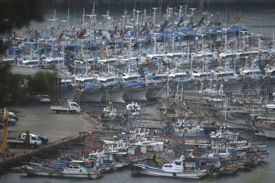 Fishing boats are anchored at a port as Typhoon Maysak approaches Jeju Island, South Korea (AP)