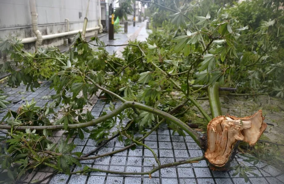 A downed tree blocks a road in Naha city, Okinawa (Kyodo News/AP)