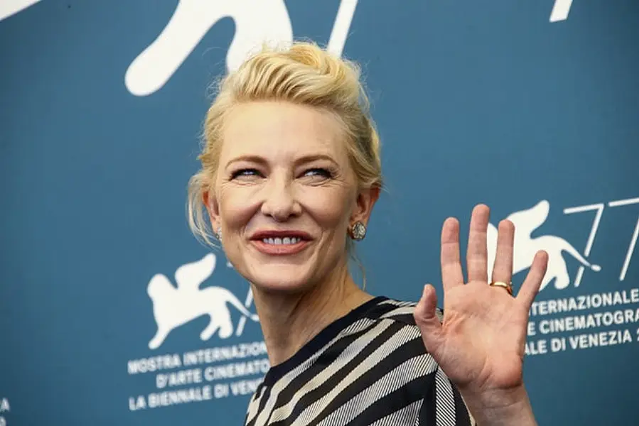 Blanchett poses for photographers (Joel C Ryan/Invision/AP)