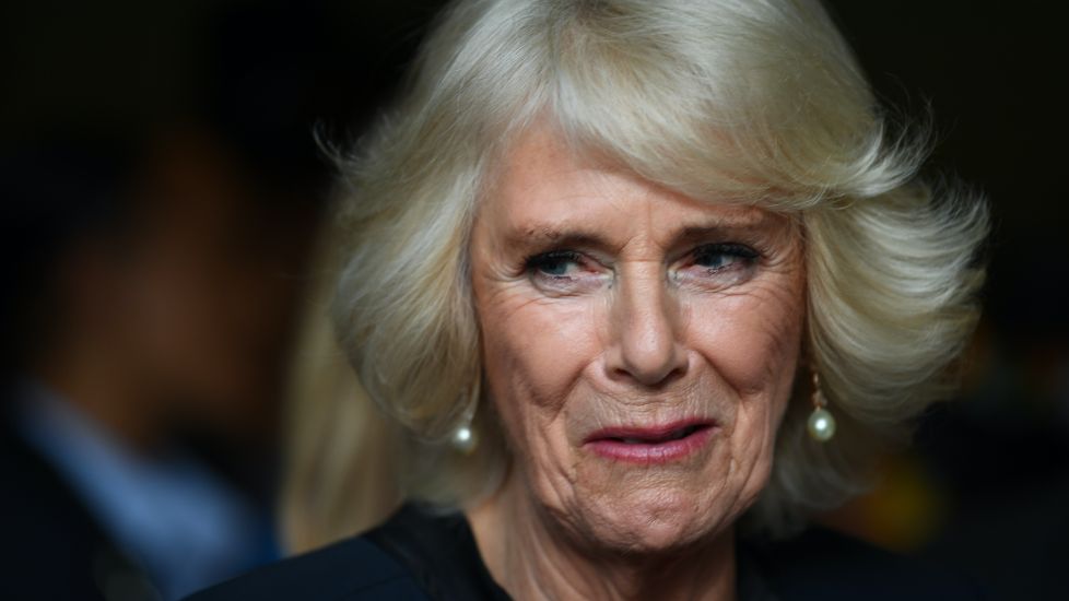 Camilla Pens Newspaper Article To Highlight Scourge Of Domestic Abuse