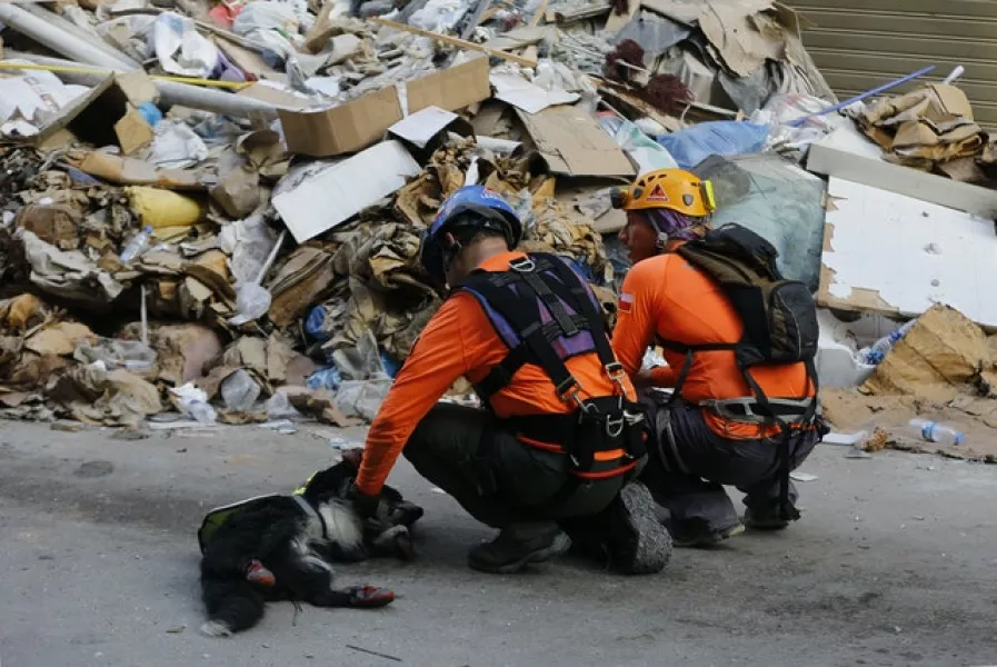 Chilean rescuers pat their rescue dog. Photo: Bilal Hussein/AP