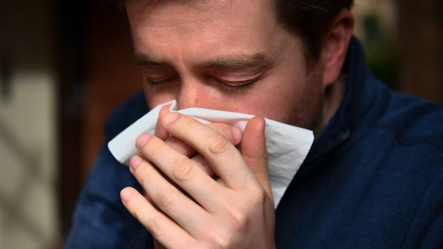Common Cold Helps Combat Flu, Research Suggests
