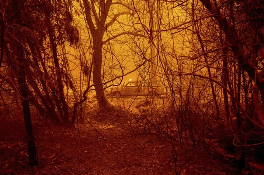 A scorched car rests in a clearing (Noah Berger/AP)