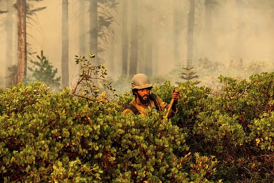 Firefighters have been tackling the blazes along the west coast (AP/Noah Berger)