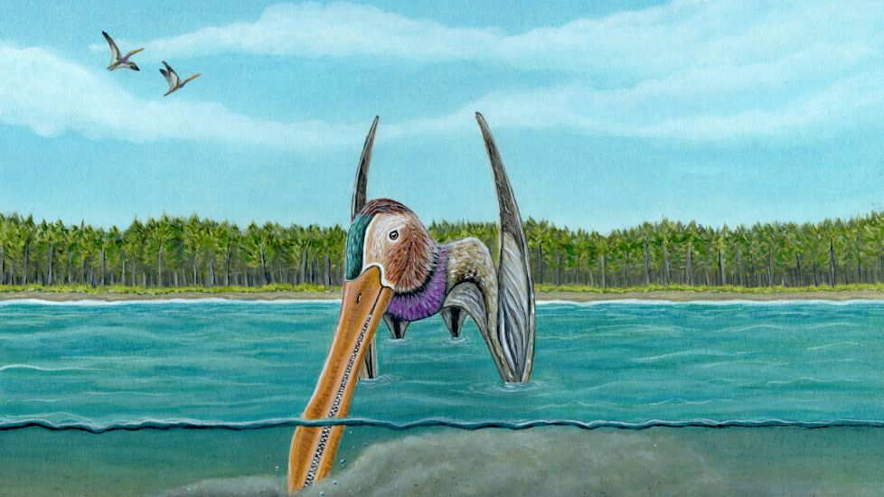 Pterosaurs Evolved Sensitive Beaks To Find Food, Study Suggests