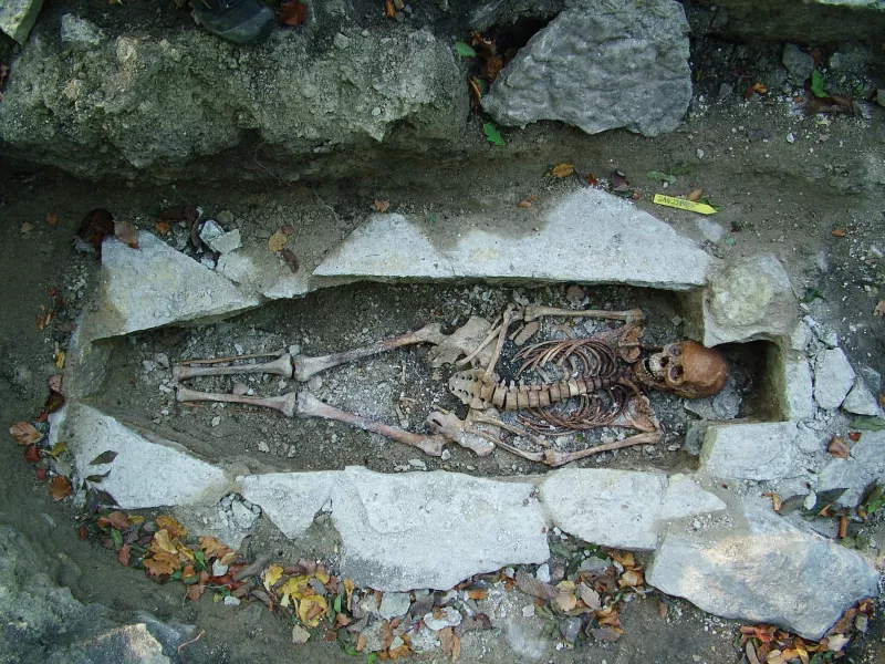A female skeleton named Kata found at a Viking burial site in Varnhem, Sweden (Vastergotlands Museum/PA)
