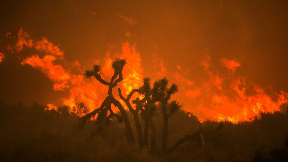Huge California Wildfire Threatens Desert Homes Near La