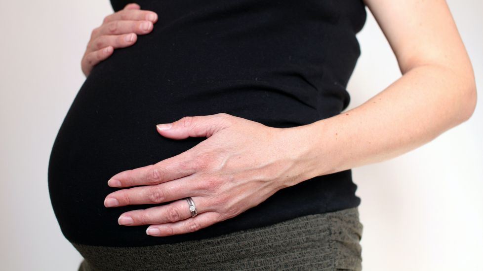 Identification Of Key Step In Embryo Development Offers Fertility Treatment Hope