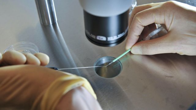 Lack Of Transparent Data On Egg Freezing Creating Ethical Issues, Experts Warn