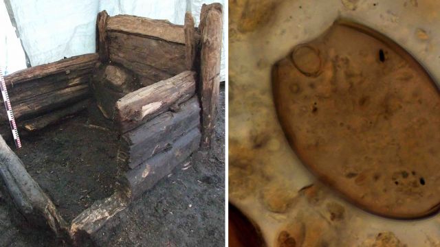 Medieval Latrines Shed Light On Gut Health Of 15Th-Century Europeans
