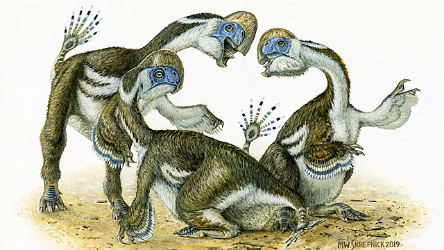 Researchers Discover Species Of Toothless, Two-Fingered Dinosaur