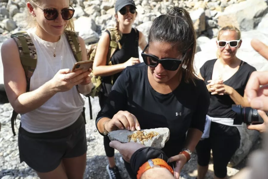Guests try to eat worms during a survival trial at Jebel Jais (Kamran Jebreili/AP)
