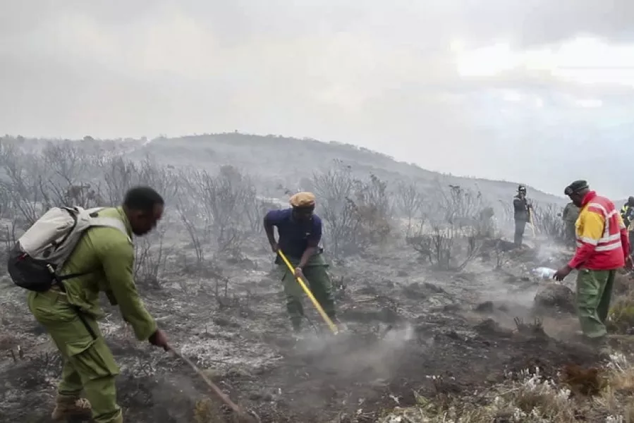 Rangers and volunteers help to put out fires on Mount Kilimanjaro (AP Photo)