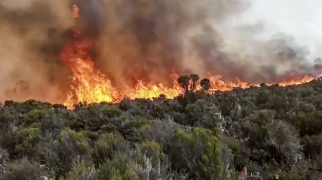 500 Volunteers Fighting Fire On Africa’s Tallest Mountain