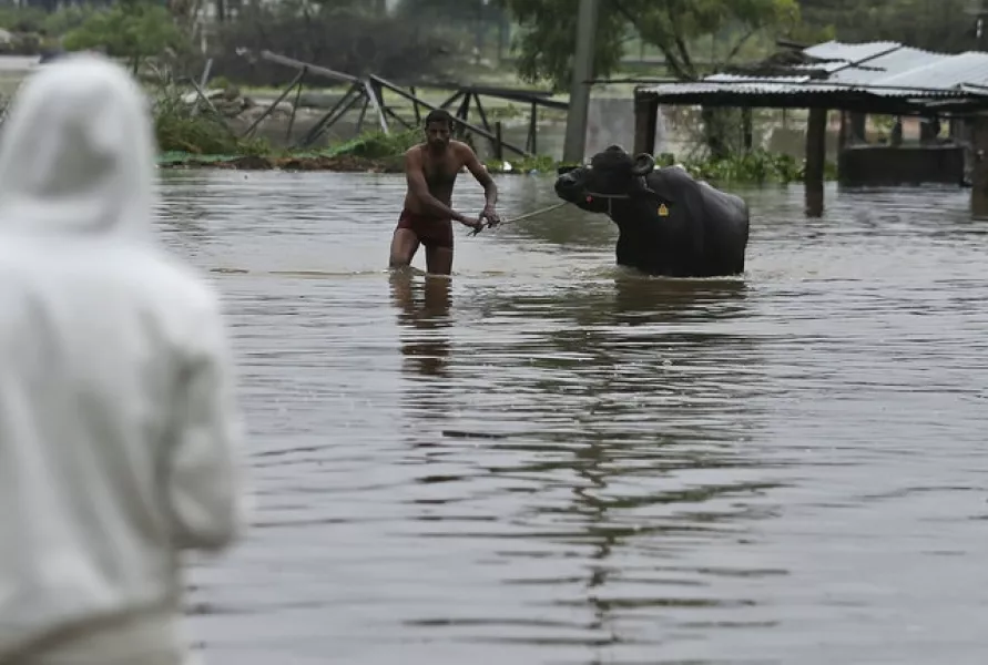 A man leads a buffalo past floodwaters (Mahesh Kumar A/AP)