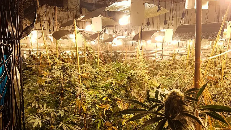 Million-Euro Cannabis Farm Discovered In Former Nightclub