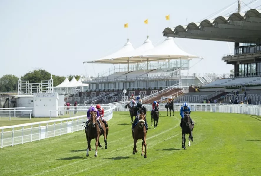 Thousands of spectators had been expected at Goodwood in West Sussex (Edward Whitaker/PA)