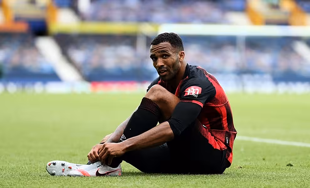Callum Wilson scored eight goals last season (Catherine Ivill/PA)