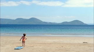 Dogs And Horses Could Be Banned From Kerry Beaches In Effort To Retain Blue Flag Status