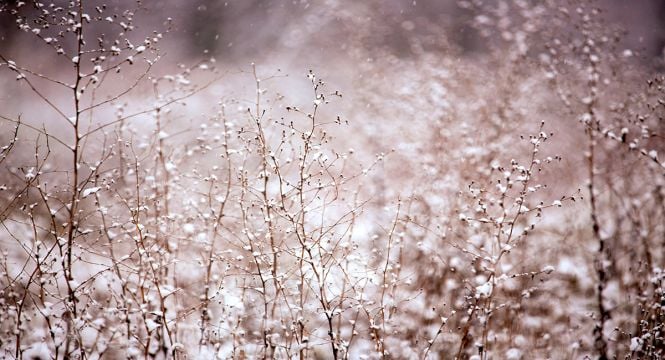 Met Éireann Warns Of Cold Snap From Tomorrow