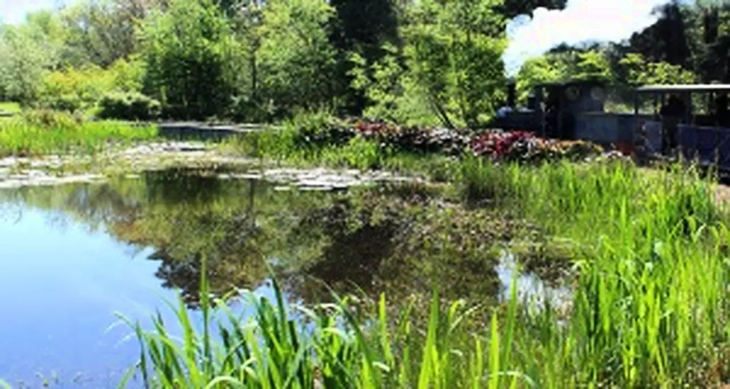 Midland Bogs Set To Be Developed Into A Tourist Destination