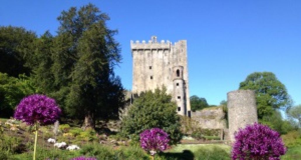 Go Ahead Given To Challenge Plan For Primary Care Centre Near Blarney Castle