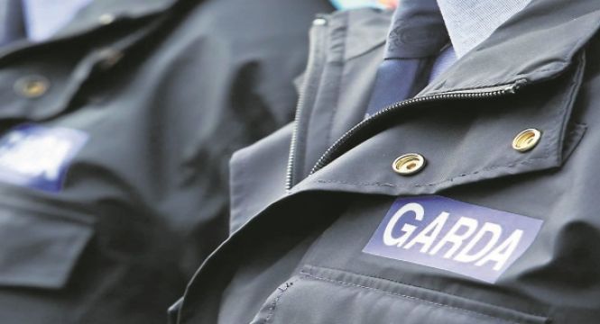 Garda Ranks Grow To Largest Number In Force's History