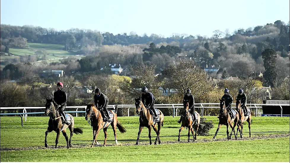 Profits At Dermot Weld's Curragh Horse Racing Firm Increase To €4.47 Million