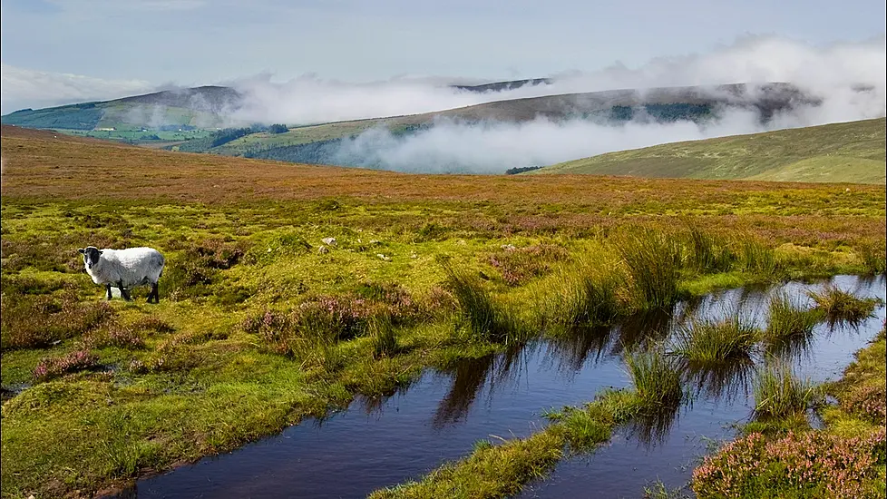 Woman Dies After Becoming Unwell On Galtee Mountains