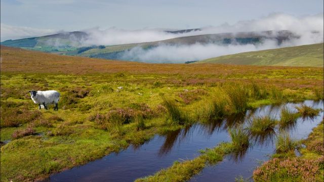 Woman Dies After Becoming Unwell On Galtee Mountains